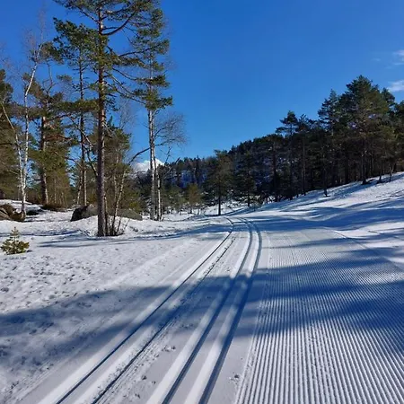 Bjorndalsvatnet *