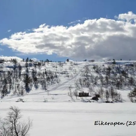 Bjorndalsvatnet Hornnes